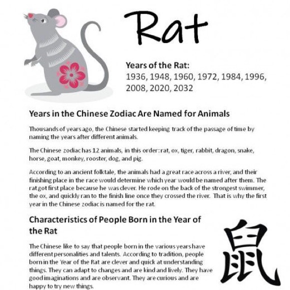 NWOT 2008 Year of the Rat Hawaiian Ukulele & Slippahs - Gray Shirt - Large - Picture 8 of 9